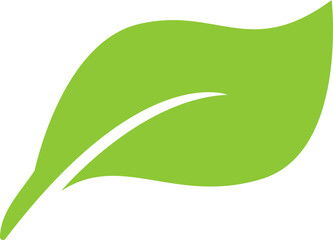Nature Leaf Icon