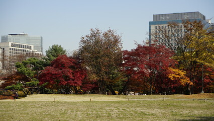고궁과 가을 단풍 낙엽 풍경입니다