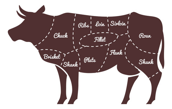 Beef diagram. Meat butcher guide. Chef chart