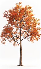 Autumn Tree, covered by brown and yellow leaves.