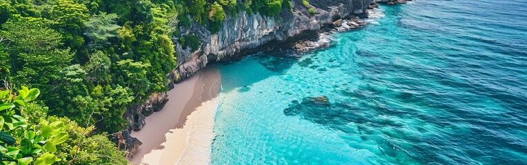 Aerial View of Tropical Beach with Turquoise Waters