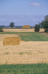 Vertical image of an English farmland landscape after harvest time. Heston bales in field. Trees and hedgerows. blue sky. Location North Bedfordshire UK