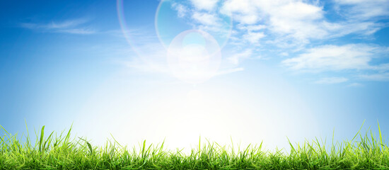 Obraz premium A bright fresh sunny spring, summer blue sky background with white fluffy clouds and lush green grass in the foreground.