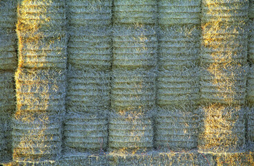 horizontal image of straw. Round Bales stacked in an agricultural field. location North Bedfordshire 1998