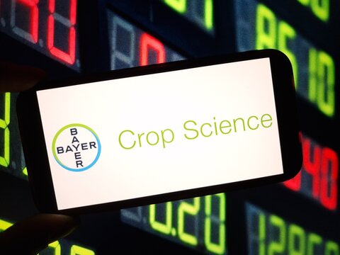 Konskie, Poland - May 29, 2024: Bayer Crop Science company logo displayed on mobile phone