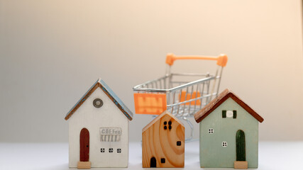 house and shopping cart © pirom