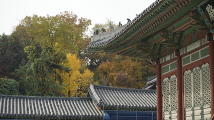 전통 문화재 경희궁의 풍경입니다