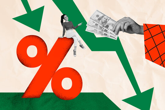 Creative image picture young woman sit percent rate downwards arrows decrease earnings credit take loan banknotes cash recession