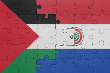 puzzle with the colourful national flag of paraguay and flag of palestine.