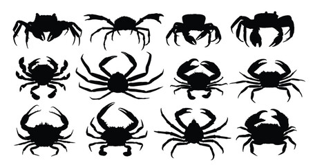 The set silhouettes of sea crabs.
