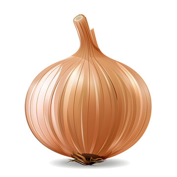 recommend clip art: Vector illustration of a onion on a white background. Suitable for crafting and digital design projects.[A-0005]