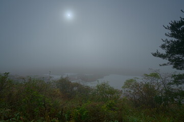 秋の霧に霞む早朝の湿原の風景