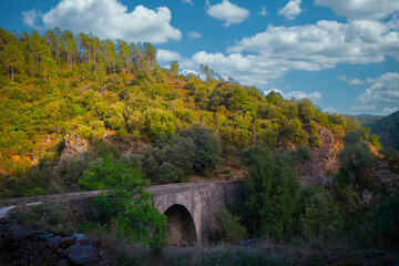 A picturesque stone bridge surrounded by a verdant forest under a vibrant blue sky with scattered clouds.