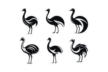 sets of ostrich or emu bird vector art illustration on white background