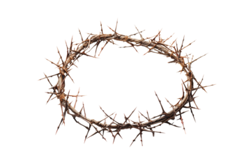 a crown of thorns on a white background