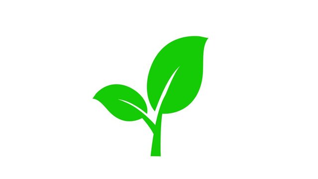 animated plant icon, plant tree swaying in the wind, simple 4k looping plant icon