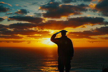 Navy vet silhouette Memorial Day respect.