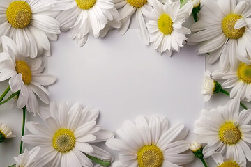 Obraz premium Daisies in a frame: a beautiful meadow moment