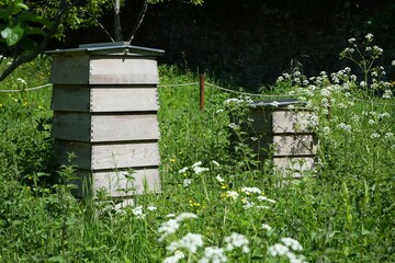 Two Beehives in a sunny English meadow.