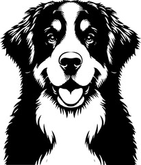 Naklejka premium Bernese Mountain Dog16