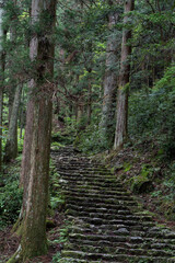 森の中に続く石段