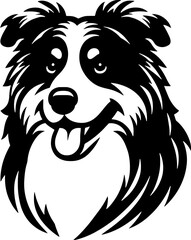 Fototapeta premium Australian Shepherd13