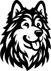 Fototapeta premium Alaskan Malamute14