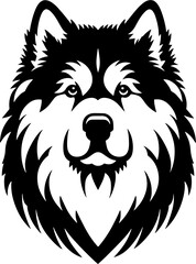 Fototapeta premium Alaskan Malamute12