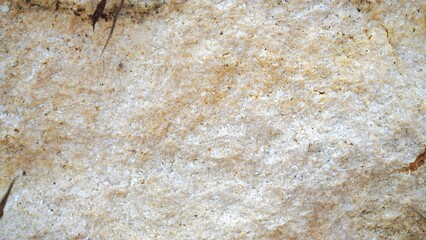 White hollow limestone texture close up as background