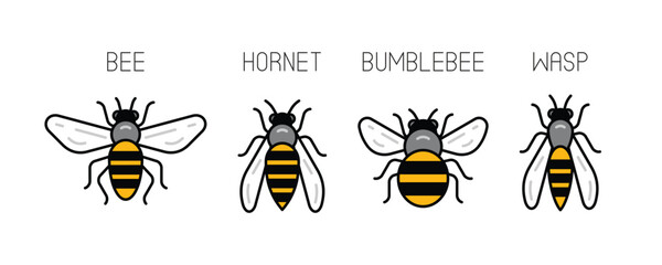Bee icons. Bee, Hornet, Bumblebee, Wasp. Buzzing insects icons. Linear style. Modern vector illustration