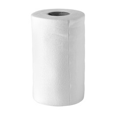 paper towels isolated