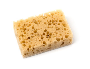 sponges for washing dishes