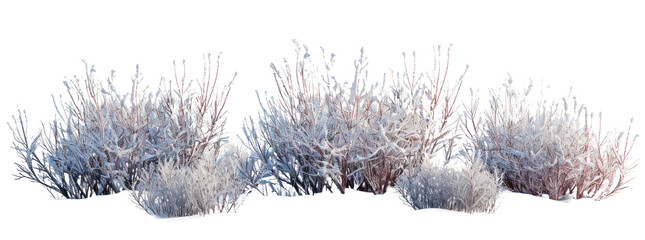 Snow-Covered Bushes on Transparent Background