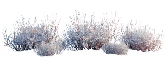 Snow-Covered Bushes on Transparent Background