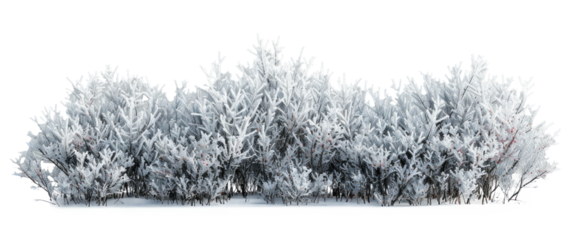 Snow-Covered Bush in Winter Scene
