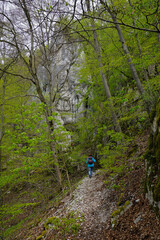 Fototapeta premium Frühlingswanderung am Hohenwittlingersteig bei Bad Urach; Biosp
