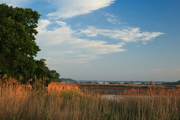 Krajobraz z lasem na brzegu jeziora z błękitnym niebem © KoLesfot