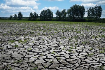 Ziemia gleba popękana podczas suszy z braku wody © KoLesfot