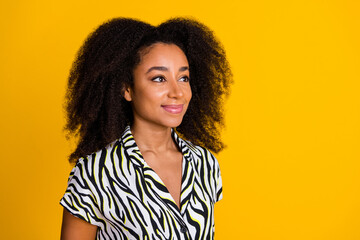 Portrait of young charming pretty girlfriend in zebra print shirt with beautiful curly hair looking empty space isolated on yellow color background