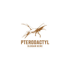 Pterodactyl bird logo vector illustration