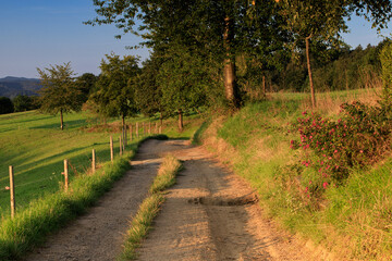 poranek © Christoph-fotografia