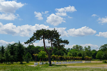 Reuilly lawn in the Vincennes wood. 