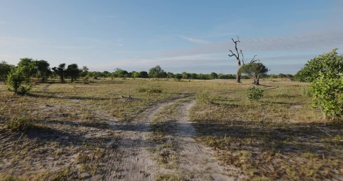 POV of a vehicle driving along a sand road in the African bush