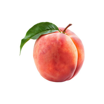 Peach with leaf on transparent background