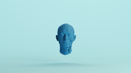Blue ecorche medical anatomy sculpture anatomical muscles head pale background front view 3d illustration render digital rendering