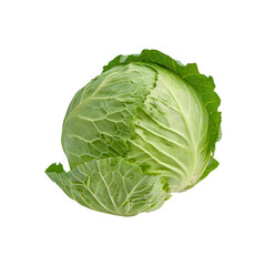 Green cabbage with transparent background