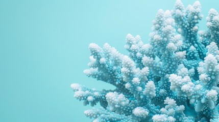 sea ​​and ocean corals.