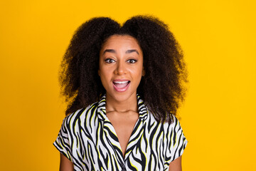 Portrait photo of young funny surprised girlfriend in zebra print shirt with beautiful curly hair isolated on yellow color background