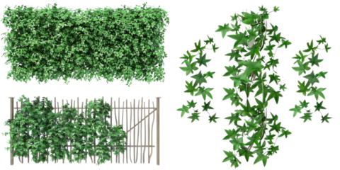 Set of decorative green plants, including river wattle, ivy, and vine, arranged for vertical or wall decoration.