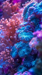 Obraz premium sea ​​and ocean corals.